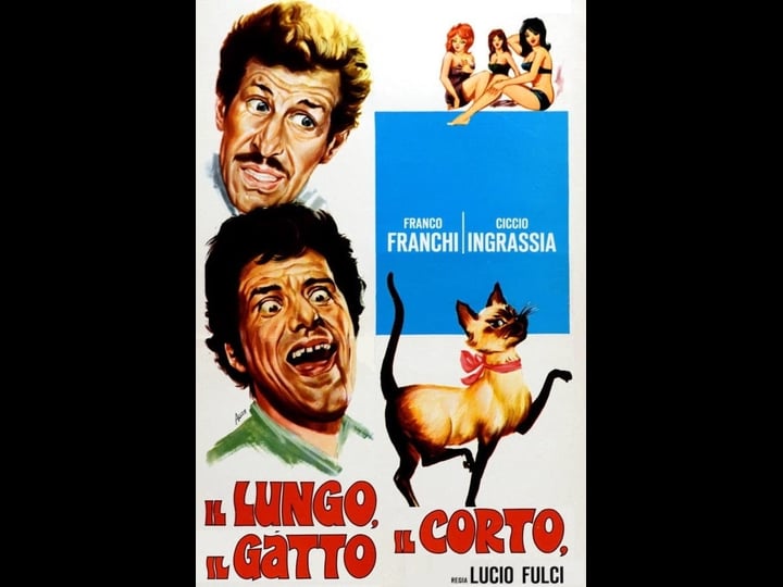 il-lungo-il-corto-il-gatto-4524768-1