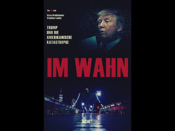 im-wahn-trump-und-die-amerikanische-katastrophe-4320978-1