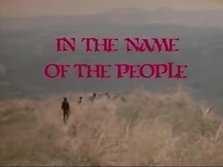 in-the-name-of-the-people-tt0087468-1