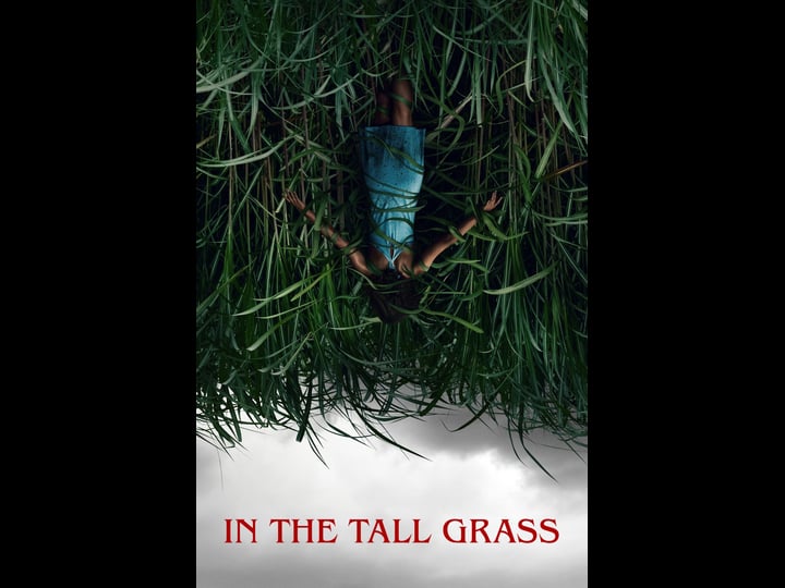 in-the-tall-grass-tt4687108-1