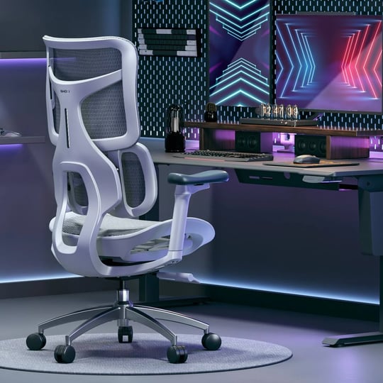 inbox-zero-doro-s100-ergonomic-office-chair-with-dual-dynamic-lumbar-support-and-adjustable-seat-dep-1