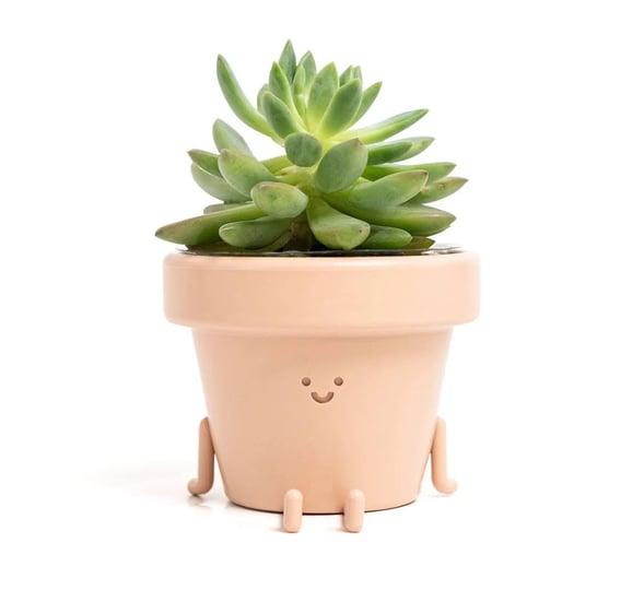 indoor-plant-pot-unique-cute-plastic-flower-pot-with-face-3-5-inch-succulent-cactus-planter-plant-lo-1