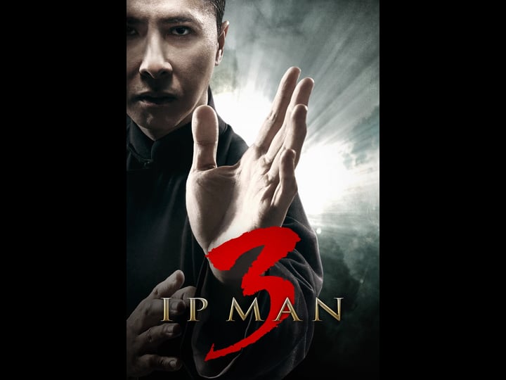 ip-man-3-tt2888046-1