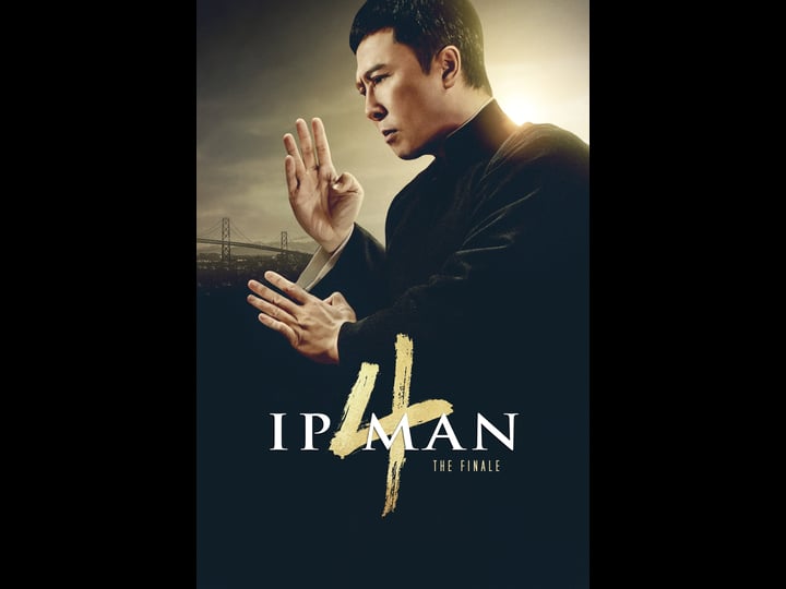 ip-man-4-the-finale-tt2076298-1