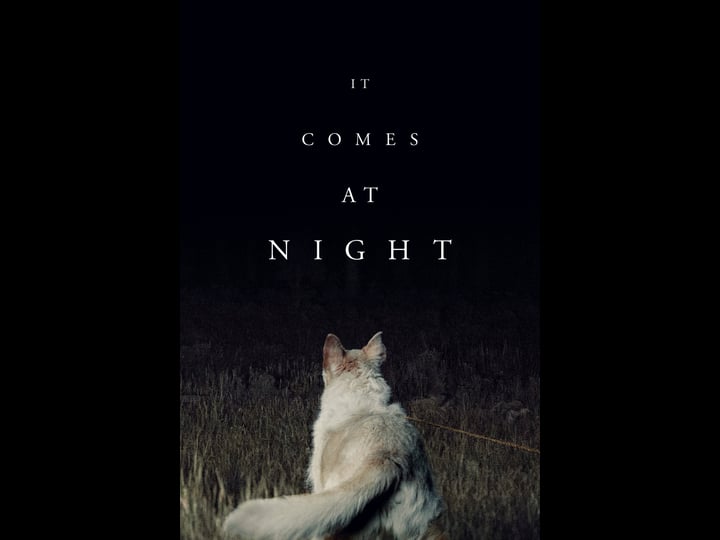 it-comes-at-night_tt4695012-1