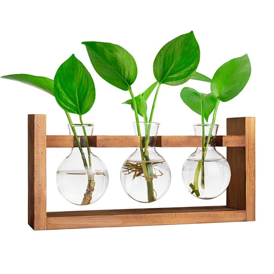 ivolador-plants-terrarium-glass-bulb-vase-with-retro-solid-wooden-stand-for-hydroponics-plants-deskt-1