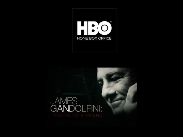 james-gandolfini-tribute-to-a-friend-tt3415676-1