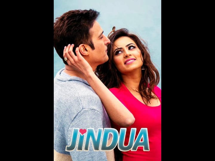 jindua-4457376-1