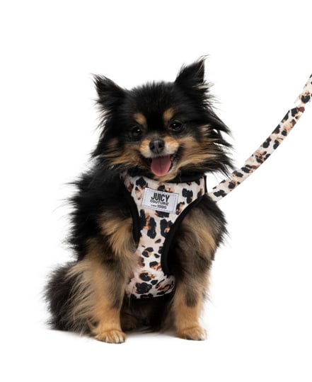 juicy-couture-2-piece-harness-leash-set-x-small-small-1