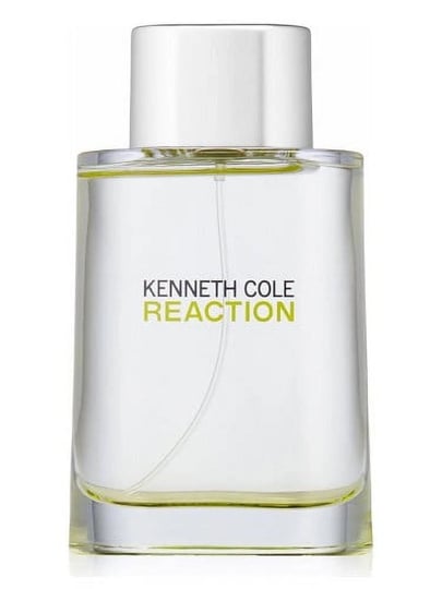 kenneth-cole-reaction-eau-de-toilette-spray-3-4-fl-oz-1