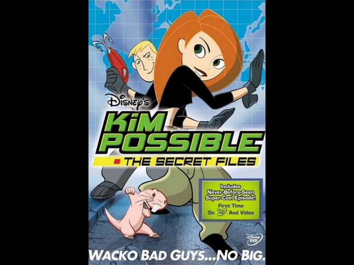 kim-possible-the-secret-files-tt0380481-1
