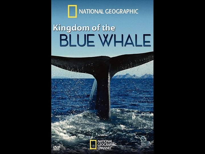 kingdom-of-the-blue-whale-tt1403075-1