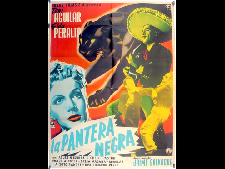la-pantera-negra-4465133-1