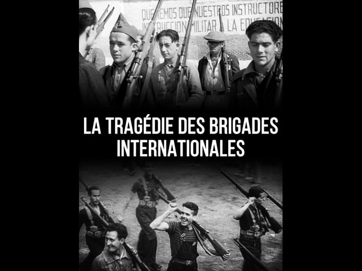 la-trag-die-des-brigades-internationales-4430574-1