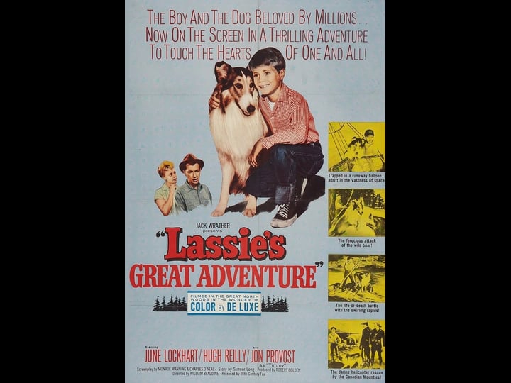 lassies-great-adventure-4324763-1