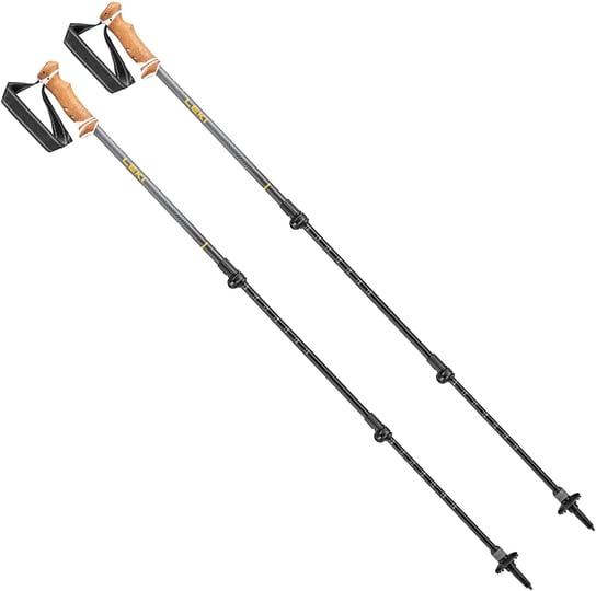 leki-lhasa-as-trekking-poles-1