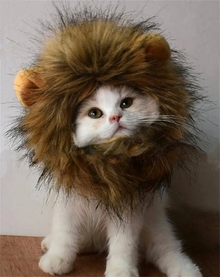 lion-mane-wig-for-dog-and-cat-costume-pet-adjustable-washable-comfortable-1