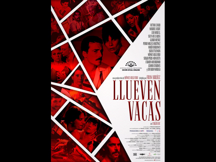 llueven-vacas-4313484-1