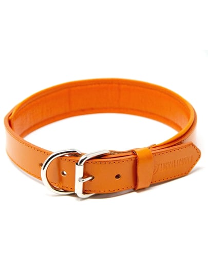 logical-leather-padded-dog-collar-best-full-grain-heavy-duty-genuine-leather-collar-orange-large-1