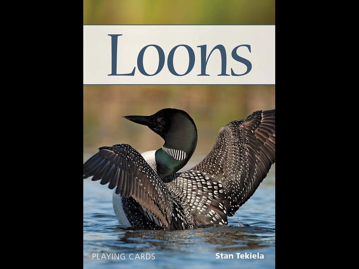 loons-playing-cards-1