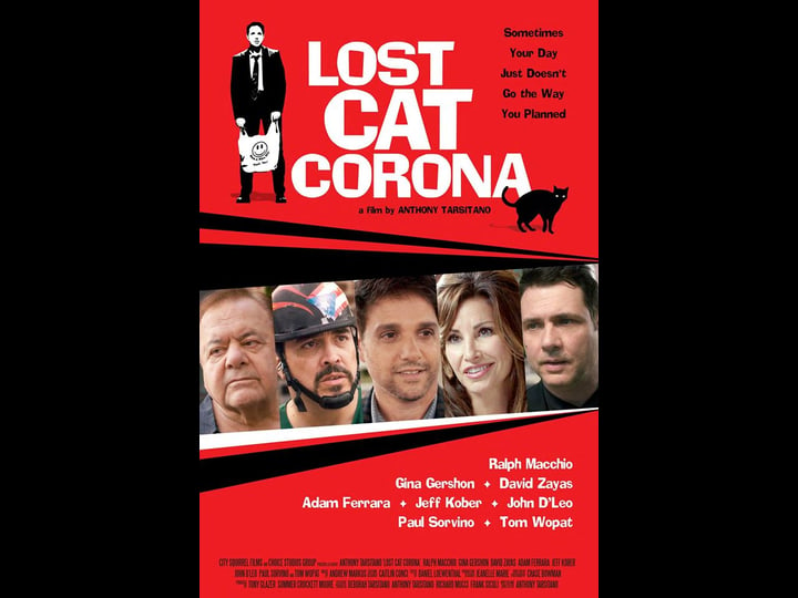 lost-cat-corona-tt4382376-1