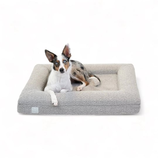 luxury-boucl--orthopedic-bolster-dog-bed-m-sand-1