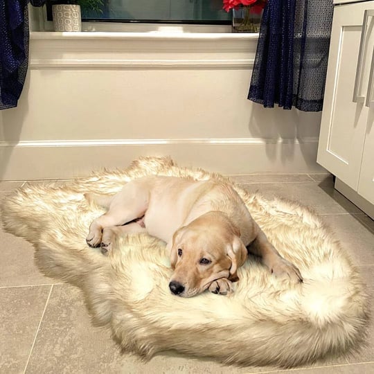 luxury-faux-fur-orthopedic-dog-bed-memory-foam-pup-rug-for-small-medium-large-and-xl-pets-bone-white-1