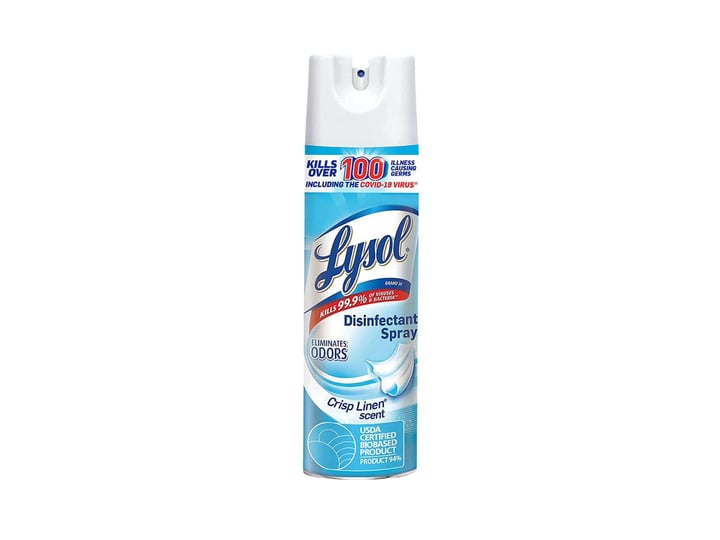 lysol-disinfectant-spray-size-10