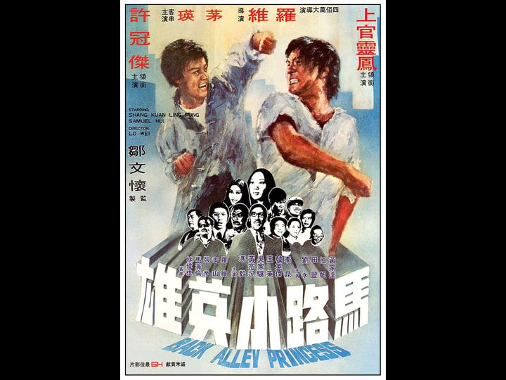 ma-lu-xiao-ying-xiong-4399235-1
