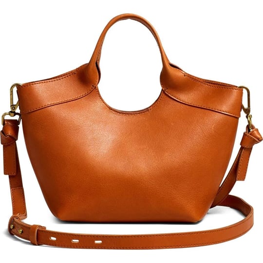 madewell-the-mini-sydney-cutout-leather-tote-in-brown-1