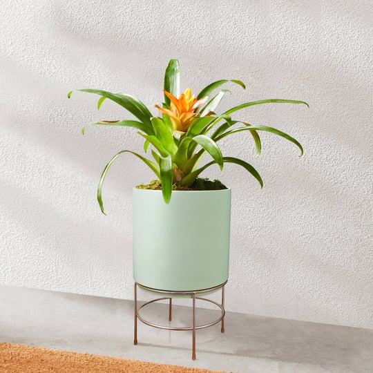 mainstays-dia-ceramic-planter-with-stand-green-gold-10-in-1