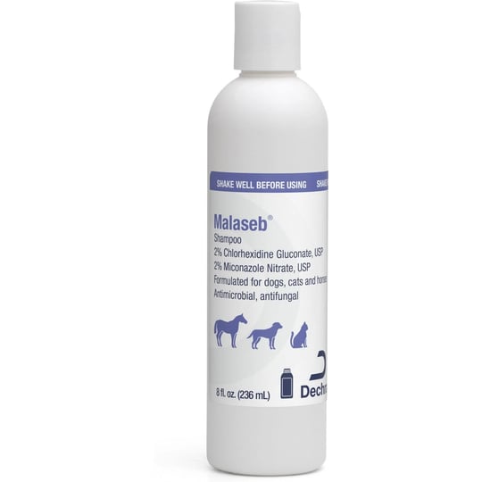 malaseb-shampoo-8-oz-1