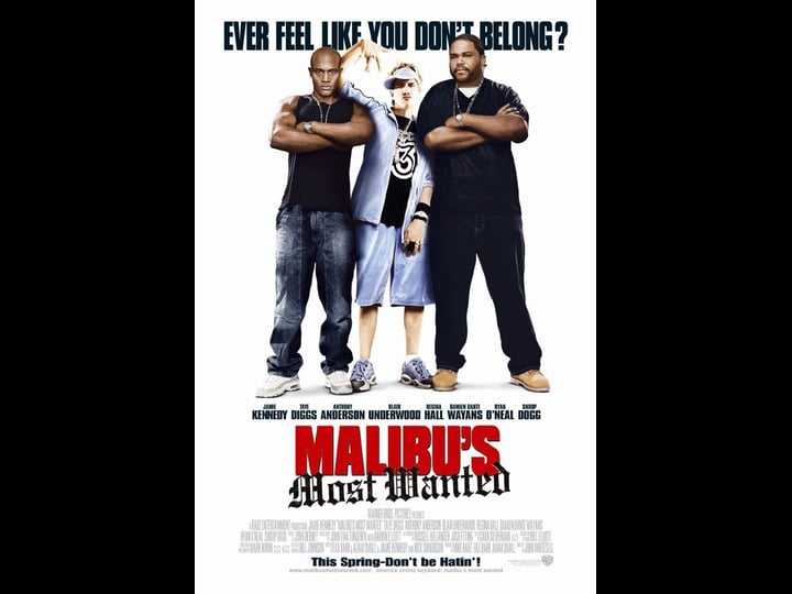 malibus-most-wanted-tt0328099-1