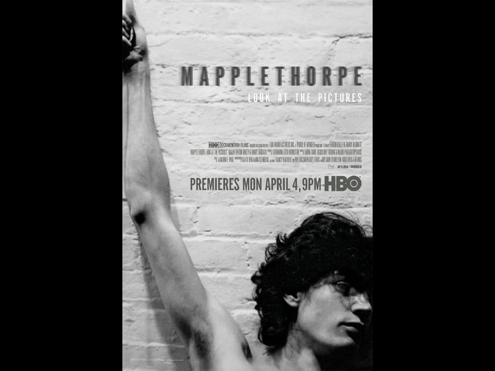 mapplethorpe-look-at-the-pictures-tt5275838-1