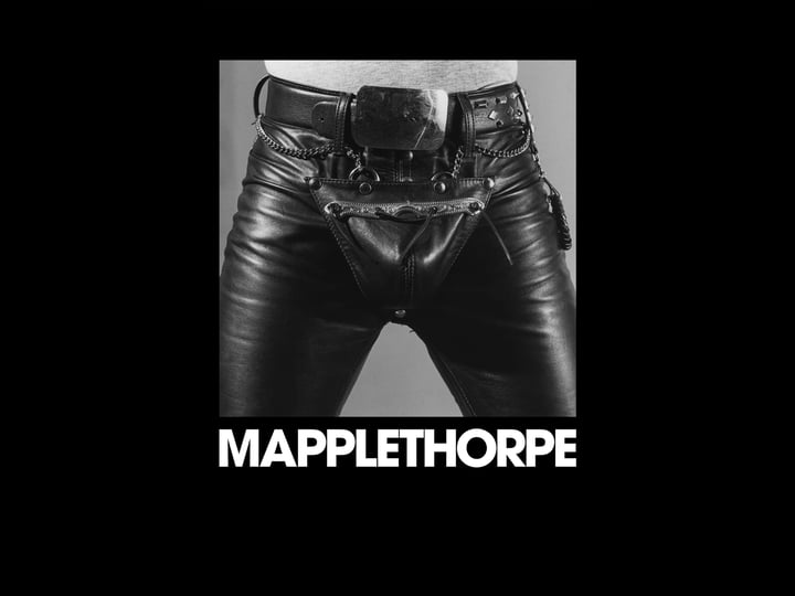 mapplethorpe-the-directors-cut-4377511-1