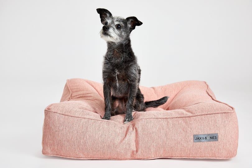 margaux-pink-berry-pillow-top-bed-1