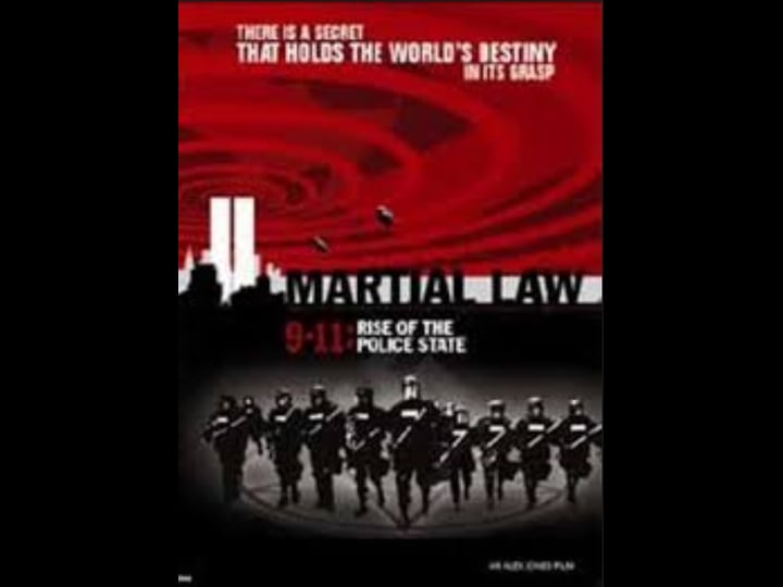 martial-law-9-11-rise-of-the-police-state-tt0462415-1