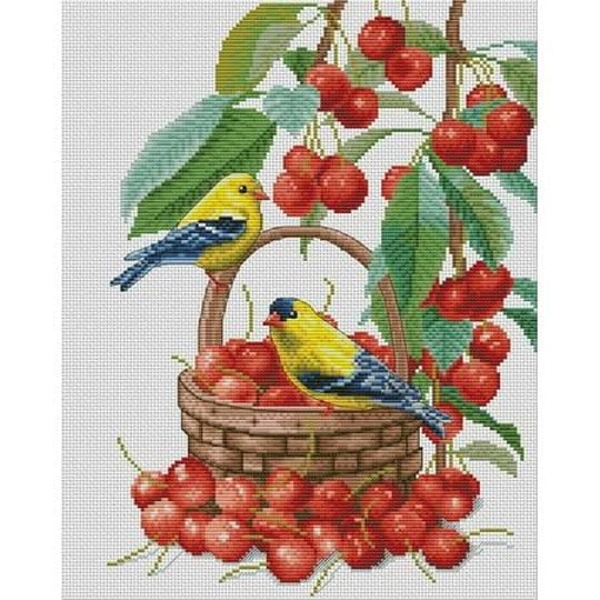 maydear-cross-stitch-kits-stamped-full-range-of-embroidery-starter-kits-for-beginners-diy-14ct-2-str-1