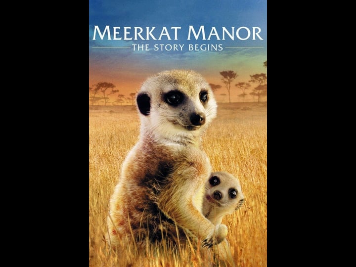 meerkat-manor-the-story-begins-tt1204315-1