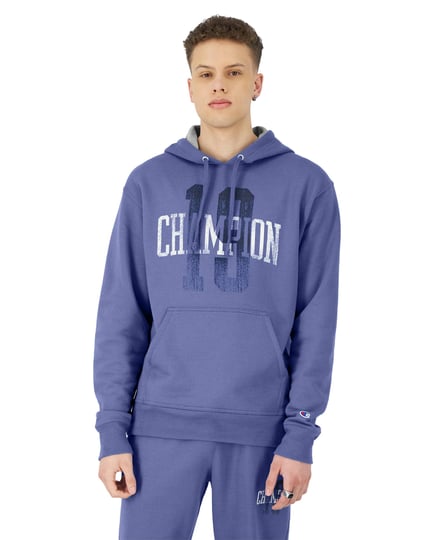 mens-champion-powerblend-hoodie-19-graphic-stone-crush-blue-m-1