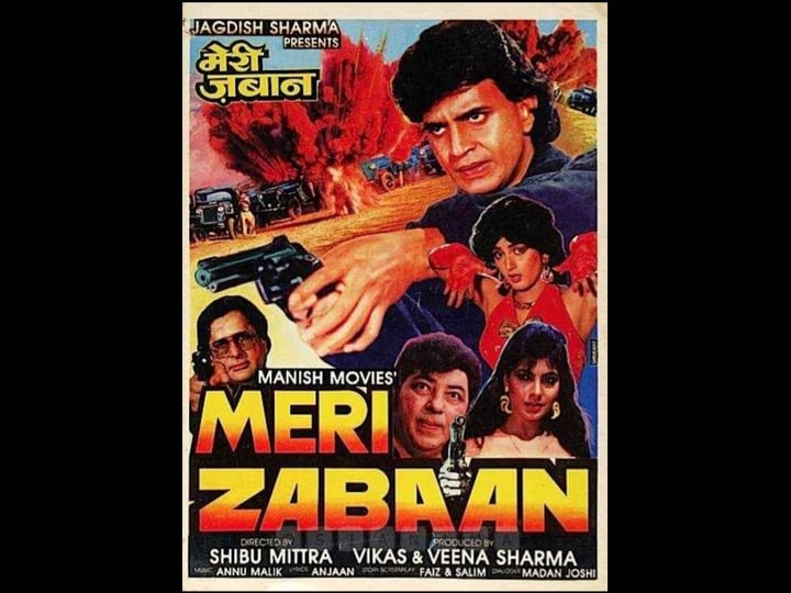 meri-zabaan-4441885-1