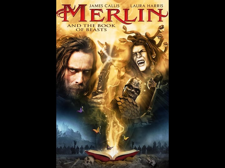 merlin-and-the-book-of-beasts-tt1320346-1