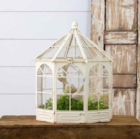 metal-conservatory-terrarium-1