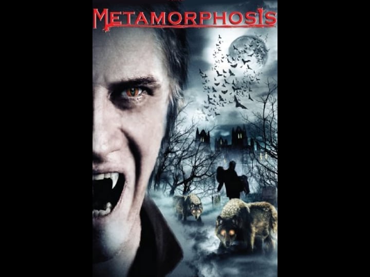 metamorphosis-1280896-1