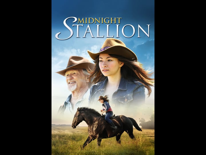 midnight-stallion-tt2257816-1