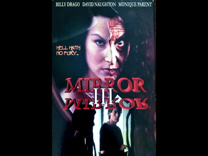mirror-mirror-3-the-voyeur-768559-1