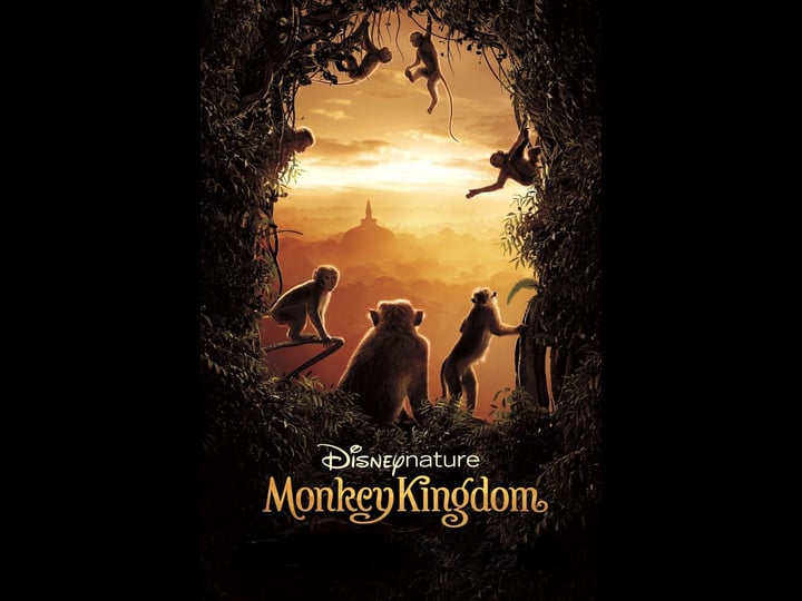 monkey-kingdom-1246217-1