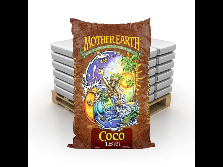 mother-earth-coco-1