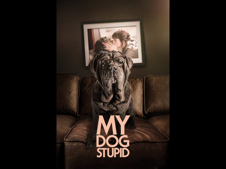 my-dog-stupid-4354644-1