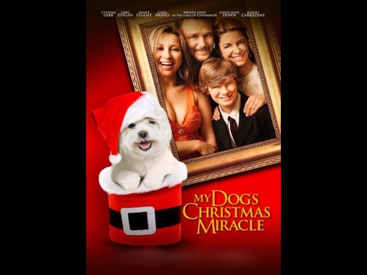 my-dogs-christmas-miracle-4307821-1